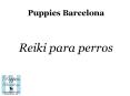 Puppies Bcn: reiki para perros