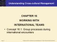 Understanding Cross-cultural Management CHAPTER 16 WORKIN