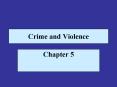 Crime and Violence Chapter 5 Introduction American