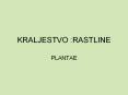 KRALJESTVO :RASTLINE PLANTAE RASTLINE(Plantae) Eukariont