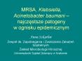Klebsiella pneumoniae Po owa sukcesu w walce z pa eczkam