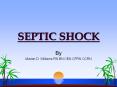 By Marian D. Williams RN BN CEN CFRN CCRN SEPTIC SHOCK Mos