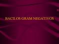 bacilos gram negativos enterobacterias bacilos gram 