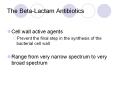 The Beta-Lactam Antibiotics Cell wall active agents Preven