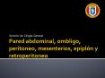 Servicio de Cirug a General * * * * * * * * * * * * * * * 