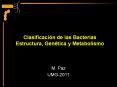 Clasificaci n de las Bacterias Estructura, Gen tica 