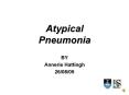 Atypical Pneumonia BY Annerie Hattingh 26/08/09 Atypica