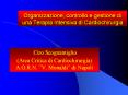 Organizzazione, controllo e gestione di una Terapi
