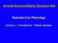 Reproductive Physiology Lecture 1: Introduction, Femal