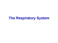 The Respiratory System Respiration Exchange of O2 and CO