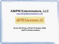 Solve All Kinds of Pest Problems With Am/Pm Exterminators
