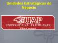 UAPCHICLAYO - UNIDADES ESTRATEGICAS DE NEGOCIO