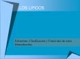 LOS LIPIDOS Estructura, Clasificacion y Funciones de esta