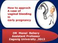 CASE STUDY ON EARLY PREGNANCY BLEEDING FOR UNDERGRADUATE