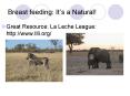Breast feeding: It s a Natural! Great Resource: La Lech
