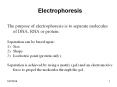 Electrophoresis The purpose of electrophoresis is t