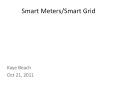 Smart Meters/Smart Grid Kaye Beach Oct 21, 2011 WHAT TO DO