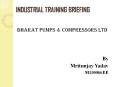 INDUSTRIAL TRAINING BRIEFING BHARAT PUMPS & COMPRESSORS LT