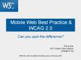 Mobile Web Best Practice & WCAG 2.0 Can you spot th