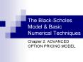 The Black-Scholes Model & Basic Numerical Techniques Chapte