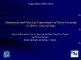 Rogue Waves 2004, Brest Numerical and Physical Experiment