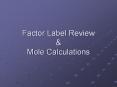 Factor Label Review & Mole Calculations Factor Label Metho