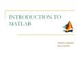 INTRODUCTION TO MATLAB Victoria Lapuerta Ana Laver n * * * 