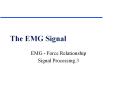 EMG - Force Relationship Signal Processing.3 EMG - Forc