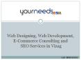 Website Designing Company in Vizag | USA | India | SEO Services
