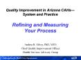 Quality Improvement in Arizona CAHs System and Practic