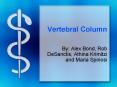 ... Lordosis & Kyphosis Scoliosis a sideways curvature o