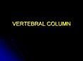 ... Lordosis Curvatures Scoliosis Spondylosis: Refer t
