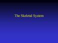 The Skeletal System Wrist and Hand See book Appendicula