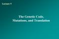 Lecture 5 The Genetic Code, Mutations, and Translatio