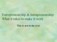 Entrepreneurship & Intrapreneurship: What it takes to mak