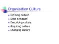 Organization Culture Defining culture Does it matter