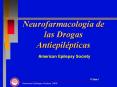 American Epilepsy Society Definiciones Crisis epil ptica E