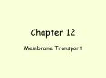 Chapter 12 Membrane Transport Defintions Solution   mixtur