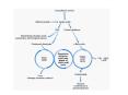 Met, Ile, Thr, Val catabolism Catabolic pathways of thre