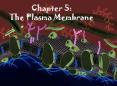 Chapter 5: The Plasma Membrane 5.1 The nature of the Plasm