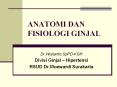 ANATOMI DAN FISIOLOGI GINJAL Dr.Wurjanto,SpPD-KGH Divis