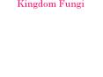Kingdom Fungi The Basics Like a plant STATIONARY Like a