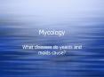 Mycology What diseases do yeasts and molds cause? Mycolog