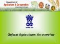 Gujarat Agriculture: An overview GUJARAT AGRICULTURE AT 