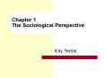 Chapter 1 The Sociological Perspective Key Terms sociolog