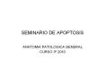 SEMINARIO DE APOPTOSIS ANATOMIA PATOLOGICA GENERAL CURSO 