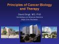 ... Resistance  Hallmarks of cancer  Self-sufficiency i