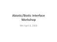 Abiotic/Biotic Interface Workshop NIH April 8, 200