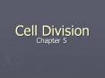 Cell Division Chapter 5 Why does a cell divide? Cel