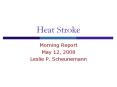 Heat Stroke Morning Report May 12, 2008 Leslie P